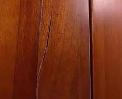 麻豆91在线观看廠家